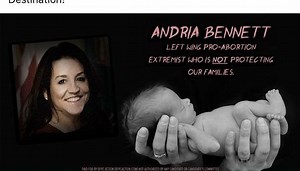 Think Delaware politics are getting worse? Here are 5 examples of some serious mudslinging