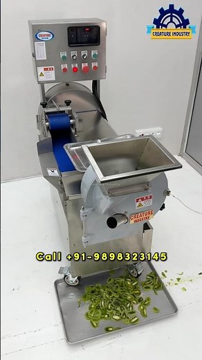 KiWi Fruit Chopping and Slicing Machine | MultiShape Sabji Cutting Machine Model 2025 #ytshort