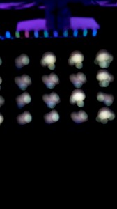 Ready for a dizzying dash with Wigidash Kuru kuru kuru kuru kururin? But ah, we're getting ahead of ourselves – your Wigidash hasn't landed... yet! Keep your eyes peeled; it's spinning your way soon. 😉🌀 #HertahonkaIsStarRail #KuruKuruKururin #WigidashOnTheWay #WigidashAlert | G.SKILL