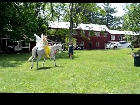 Real Unicorn Spotted in Maryland!! MUST SEE!!