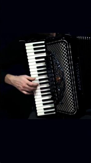 Swing 42 Accordion Solo ✨