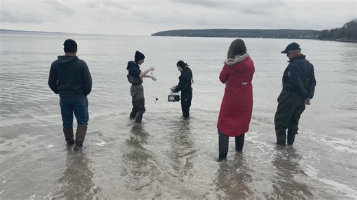 Volunteers in N.S. collect water samples to track marine life