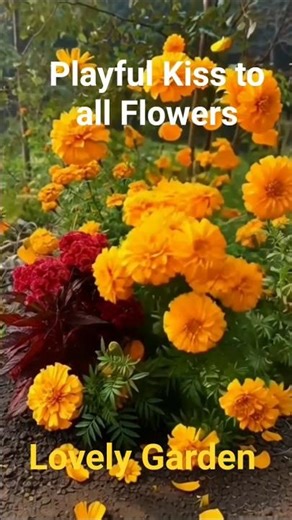 The Most Beautiful Gardens Around The World