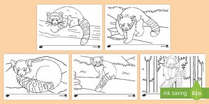 Cute Red Panda Colouring Pages