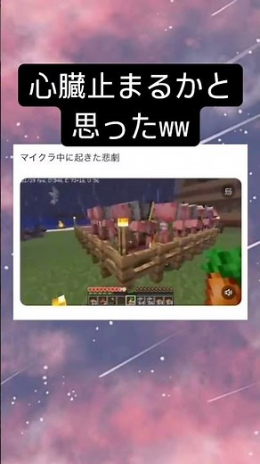 【‪@pontikimaru‬ 様の転載】マイクラで起きた悲劇