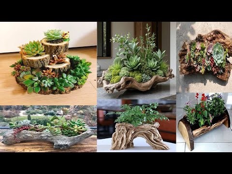 Rustic Log Planters: Inspiring Ideas for Indoor Greenery and Decor | Wooden planters