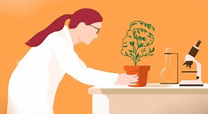 A Quiet Revolution in Botany: Plants Form Memories