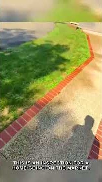 How Pre-Sale Irrigation Audits Work — Zone 3 Walkthrough