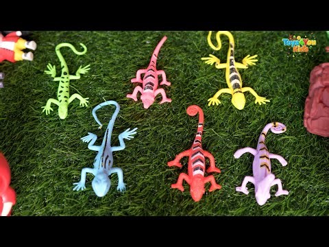 Wall Lizard 🦎Toys || Lizard Unboxing & Testing - KiddyPop JuncTion