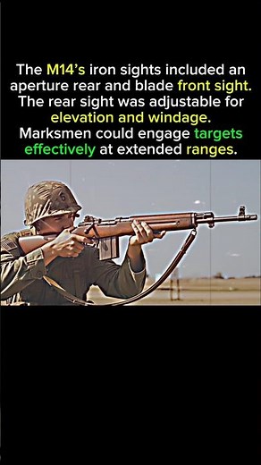 How This Rifle Hits Targets From Far Away