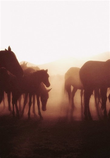 Captivating Front Porch Views in Stephenville