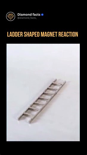 Diamond facts on Instagram: "The video demonstrates small neodymium bar magnets self-assembling into ladder-like chains through dipole interactions, where opposite poles attract end-to-end while like poles repel to form stable rungs. Posted October 25, 2025, it gained 340,000 views and 1,947 likes rapidly, originating from similar TikTok trends like "Innovative Ladder Shaped Magnet Reaction" that popularized the trick. Replies in Indonesian reflect viewer surprise at the fluid motion and safety 