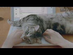 カルカン。ねこ、まっしぐら♪ ＣＭ