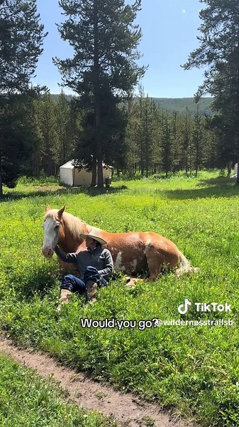 A hidden gem right outside of Yellowstone that most people drive right past without realizing what’s here. Our little bed and breakfast brings in all kinds of guests—families on their first big trip out West, couples celebrating anniversaries, and best friends looking for a quiet weekend away. It’s the kind of place where mornings start with coffee and mountain air, and the days slow down just enough to actually enjoy where you are. A comfortable spot to land before or after exploring the park, 