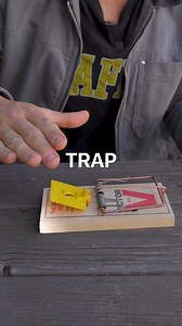 628K views · 12K reactions | Mouse Trap vs Hand | Tyler Blanchard | Facebook