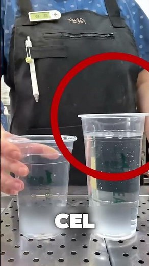 Uncover the BEST Spot to Feast at TODAY!