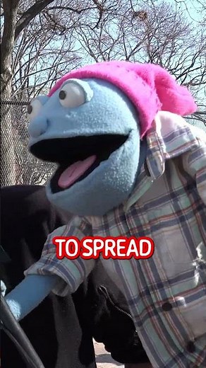 Triggering White Liberal Women about Iran