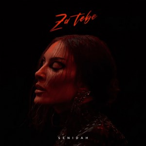 Za tebe by Senidah