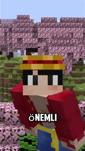 How Well Do You Know Minecraft...