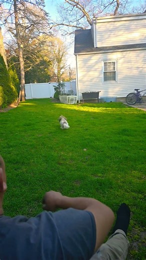 aki jugando con max
