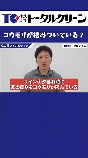 コウモリ駆除正しい追い出し3ステップ #shorts