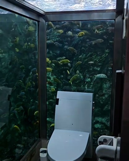 52K views · 417 reactions | This toilet in Japan is hiding a hidden secret 狼勞 | UNILAD Adventure | Facebook