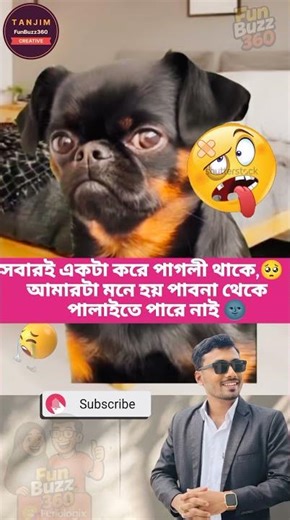 সবারই একটা পাগলি থাকে 😂 Tag Your Friend” #banglashorts #funny #ধাঁধাpoint #shorts