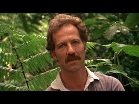 Werner Herzog on the Vileness of the Amazon Jungle
