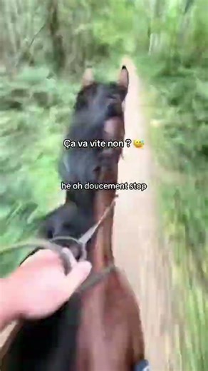 🔥 #cheval #equitation #cavalier #chevalpassion