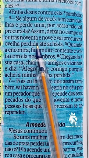 Lucas 15:4 #Deus #biblia #jesus #palavradedeus #bibliasagrada #Cristo