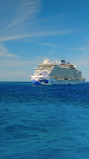 Add this to your bucket list for #2024 🌊🏝️ @Norwegian Cruise Line #CruiseNorwegian #NCLPartner #NorwegianViva #greatstirrupcay