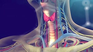 The Creepy But Incredible World of 3D-Printed Body Parts