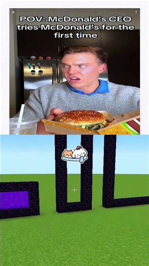 #shorts #funny #minecraft #meme #fyp #foryou #viral #pov #humor #comedy #acting #skit #gaming