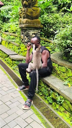 Monkey Business and African Life: A Fun Exploration