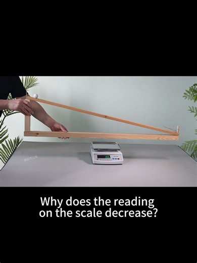 Understanding Scale Readings in Physics Experiments