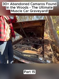 30 Abandoned Camaros Found in the Woods - The Ultimate Muscle Car Graveyard! (Part 15) #barnfind #abandonedcar | Abandoned Cars