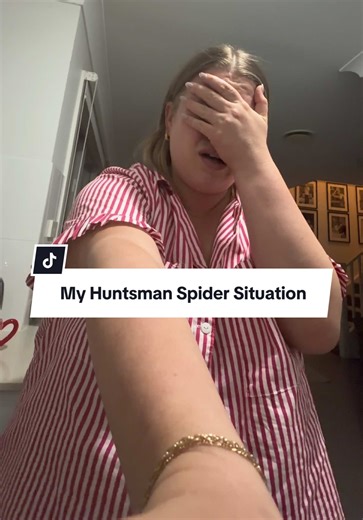 My Huntsman Spider Situation Revealed