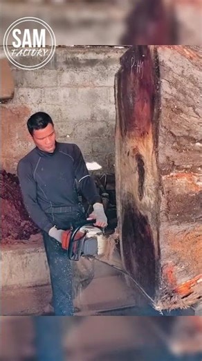 Chainsaw Big Tree #woodworking #shorts