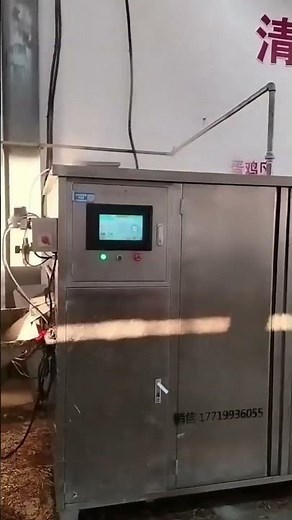 Automatic Chicken & Duck Scalding & Plucking Machine
