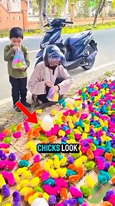 Never Buy These Colorful Chicks!😨 No matter how cute these colorful chicks look, never buy them. What many don’t realize is that to make them look so bright, sellers actually dye the weakest chicks. The dye itself is harmful, and because these chicks are already fragile, most of them don’t survive more than a few days. Only a rare few live longer—thanks to strong immunity or extreme care. So, buying them may look fun at first, but in reality… it’s like buying them just to watch them suffer. #ne