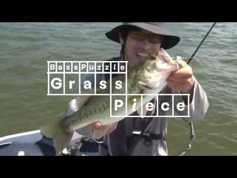 グラスピース - Grass Piece | Bass Puzzle