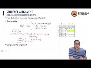 Sequence Alignment: Needleman-Wunsch Algorithm