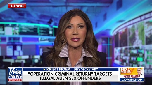 DHS announces more than 150 illegal alien sexual predators arrested in Florida