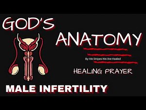 Healing Prayer For Male Infertility | God’s Anatomy Prayer | Reproductive System