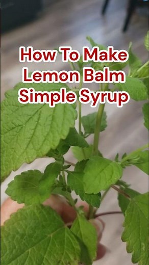 How To Make Lemon Balm Simple Syrup: A Sweet Base For Refreshing Drinks
