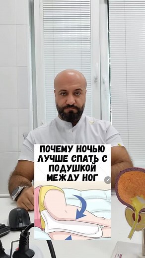 Understanding Human Anatomy: Pelvic and Reproductive Systems