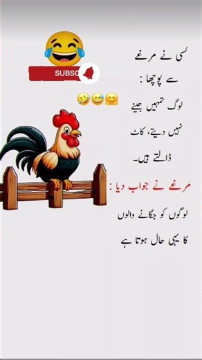 #funny #jokes #memes #funnymemes #comedy #mmuradquotes #motivation #gandaylatifey #4line #unfrez