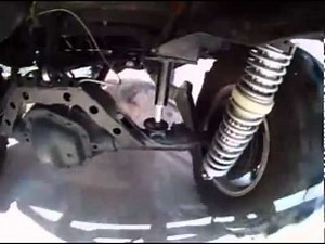 Daystar Stinger Bump Stops Demo