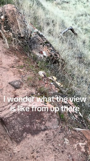 #fyp #zionnationalpark #travel #angelslanding