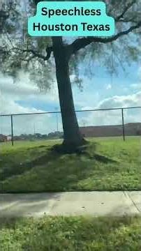 Speechless on the Radion in Houston, Texas #shorts #music @song